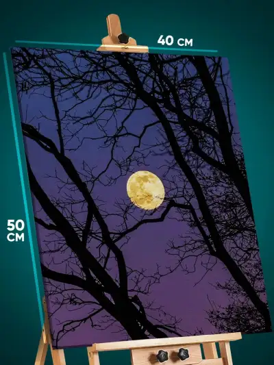 Картина на стену Пейзаж лесной природа ночь луна 40x50