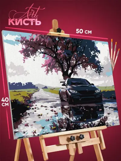 Картина по номерам Авто BMW 40x50