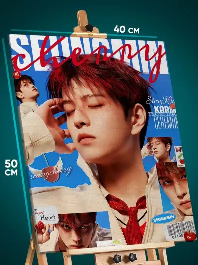 Картина на стену К-Поп музыка Stray Kids 40x50
