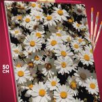 Картина по номерам Цветы ромашки 40x50