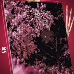 Картина по номерам Цветы дерево сакура 40x50