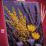 Картина по номерам Пейзаж летний природа ночь цветы 40x50