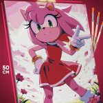 Картина по номерам Sonic мультфильм Еж Эми Роуз 40x50