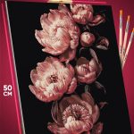 Картина по номерам Цветы пионы 40x50
