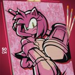 Картина по номерам Sonic мультфильм Еж Эми Роуз 40x50