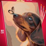 Картина по номерам Собака Такса и бабочка 40x50