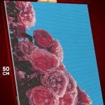 Алмазная мозаика Цветы розы 40x50