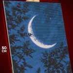 Алмазная мозаика Пейзаж летний природа ночь луна 40x50