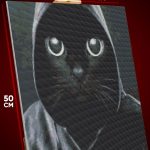 Алмазная мозаика Котики в капюшоне мем 40x50