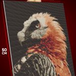 Алмазная мозаика Животные птица 40x50