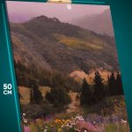 Картина на стену Пейзаж летний природа тропа 40x50