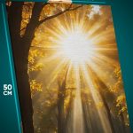 Картина на стену Пейзаж летний лучи солнца 40x50