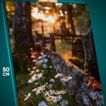 Картина на стену Пейзаж летний ромашки 40x50