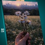 Картина на стену Цветы ромашки 40x50