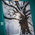 Картина на стену Пейзаж зимний природа дерево 40x50
