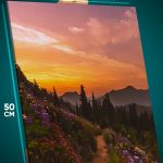 Картина на стену Пейзаж летний природа тропа 40x50