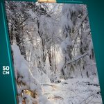 Картина на стену Пейзаж зимний природа деревья в снегу 40x50