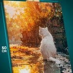 Картина на стену Котики после дождя 40x50