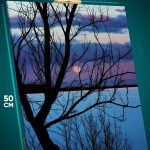 Картина на стену Пейзаж летний ночь озеро луна 40x50