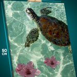 Картина на стену Животные черепаха 40x50