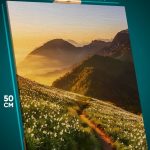 Картина на стену Пейзаж летний тропа горы 40x50