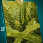 Картина на стену Цветы папоротник тропики 40x50