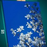 Картина на стену Цветы небо 40x50