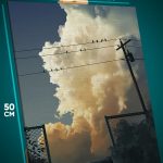 Картина на стену Пейзаж городской птички на линиях 40x50