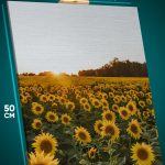 Картина на стену Цветы подсолнухи поле 40x50