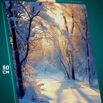 Картина на стену Пейзаж зимний природа лес 40x50