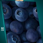 Картина на стену Еда ягода черника голубика 40x50
