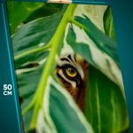 Картина на стену Животные тигр взгляд 40x50