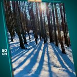 Картина на стену Пейзаж зимний природа лес 40x50
