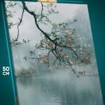 Картина на стену Пейзаж летний дождь сакура 40x50
