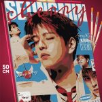 Картина по номерам К-Поп музыка Stray Kids 40x50