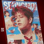 Алмазная мозаика К-Поп музыка Stray Kids 40x50