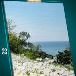 Картина на стену Пейзаж цветы поле и море 40x50