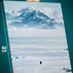 Картина на стену Животные пингвинчик 40x50