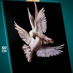 Картина на стену Животные белые голуби 40x50
