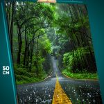 Картина на стену Пейзаж летний дорога автомобильная 40x50