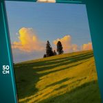 Картина на стену Пейзаж летний природа цветы поле 40x50