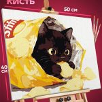 Картина по номерам Котики мем чипсы 40x50