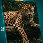 Картина на стену Животные лепопард 40x50