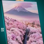 Картина на стену Пейзаж Япония Фудзияма гора и сакура 40x50