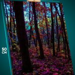 Картина на стену Пейзаж осенний лес деревья 40x50