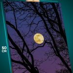 Картина на стену Пейзаж лесной природа ночь луна 40x50