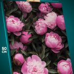 Картина на стену Цветы пионы розовы 40x50