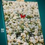 Картина на стену Цветы поле бабочка 40x50