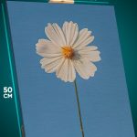 Картина на стену Цветы ромашка минимализм 40x50