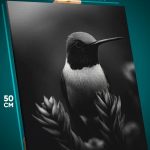 Картина на стену Животные птица калибри монохром 40x50